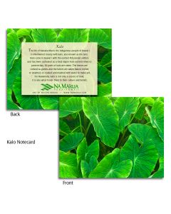 Kalo Note Cards - Small